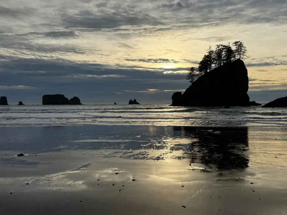 A forested sea stack at sunset over wet sand on the outer coast